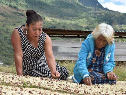 La FAO, la agencia Notimía y el Foro Internacional de Mujeres Indígenas organizaron un concurso fotográfico sobre la importancia de estas últimas para la seguridad alimentaria de América Latina y el Caribe. Estas son las imágenes premiadas.