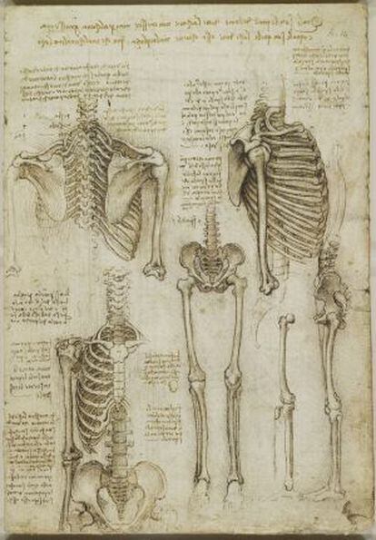 'El esqueleto', 1510-11. Royal Collection Trust / (C) Her Majesty Queen Elizabeth II 2013.