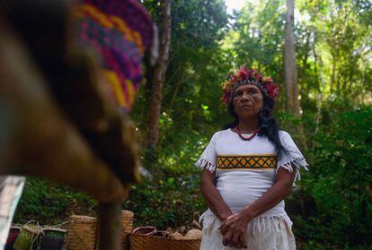 La jefa indígena guaraní, María Helena Jaxuka, en las tierras indígenas Kyringue Arandua, en el Estado de Río de Janeiro (Brasil).