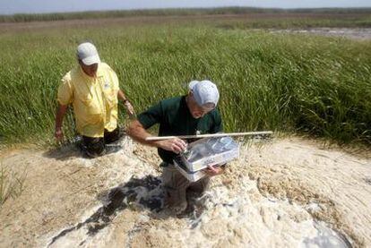 Recogida de muestras de agua en la costa de Luisiana para medir el impacto del vertido.