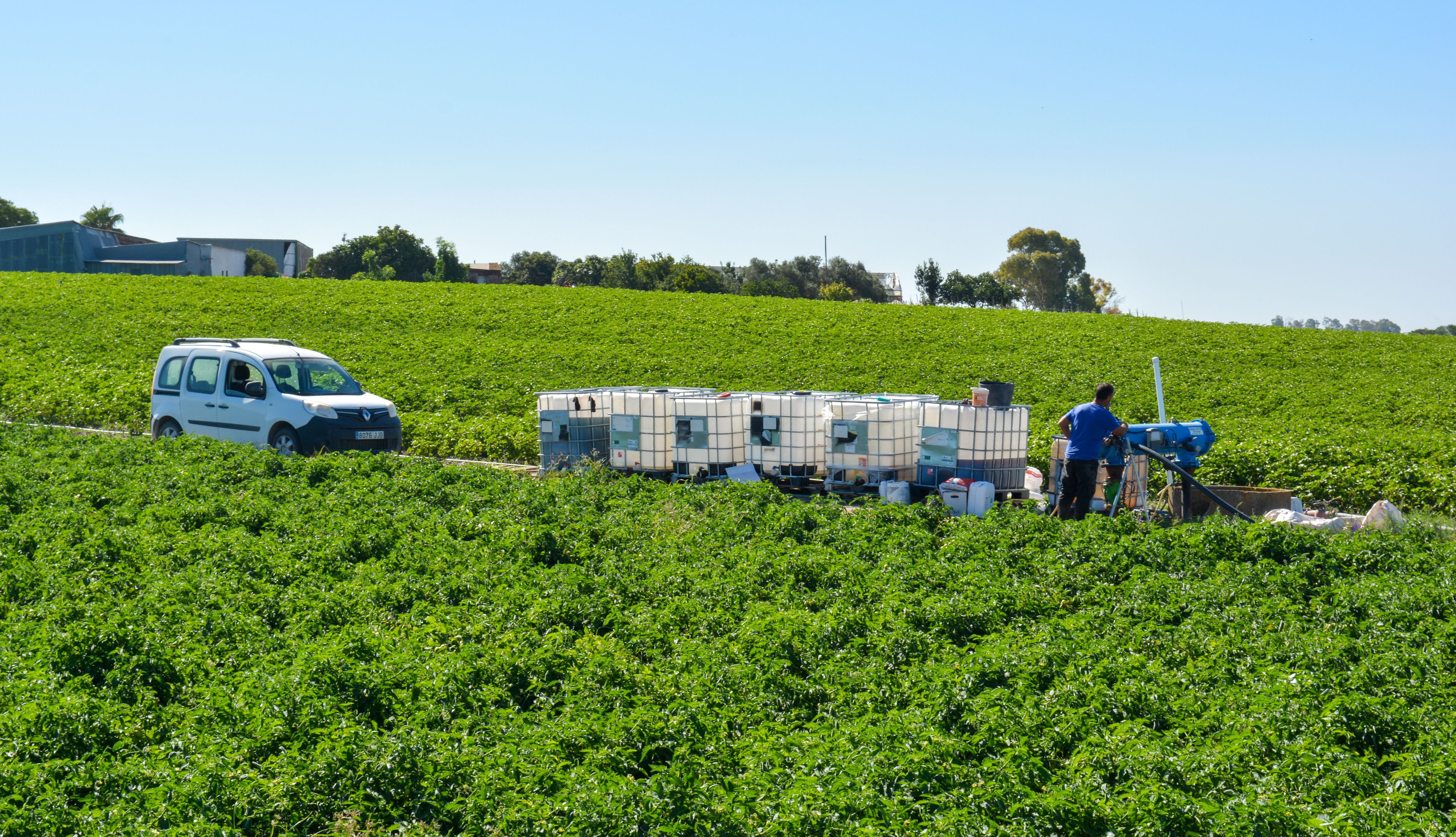 El Agricultor Luis Pérez controla el nivel de abono líquido que bombea un motor por su tomatera