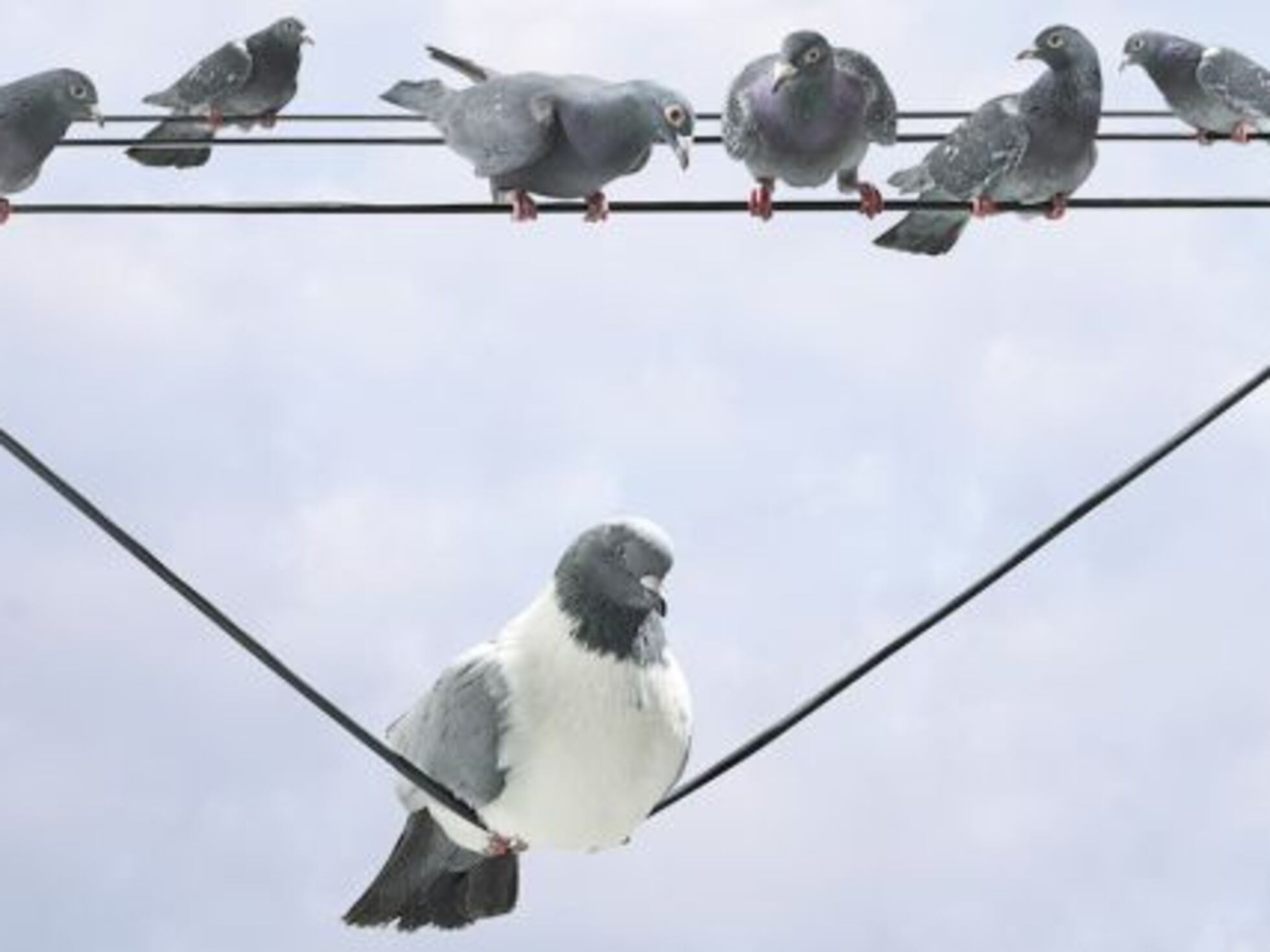 4 cosas que hacen mejor los gorditos (por ejemplo, tener sexo) | Bienestar  | BuenaVida | EL PAÍS