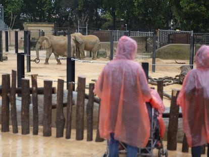 Visitantes en el zoo de Barcelona.