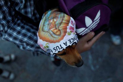 Un perro tapado con un pañuelo que lleva impresa la imagen de la Virgen de Guadalupe. 