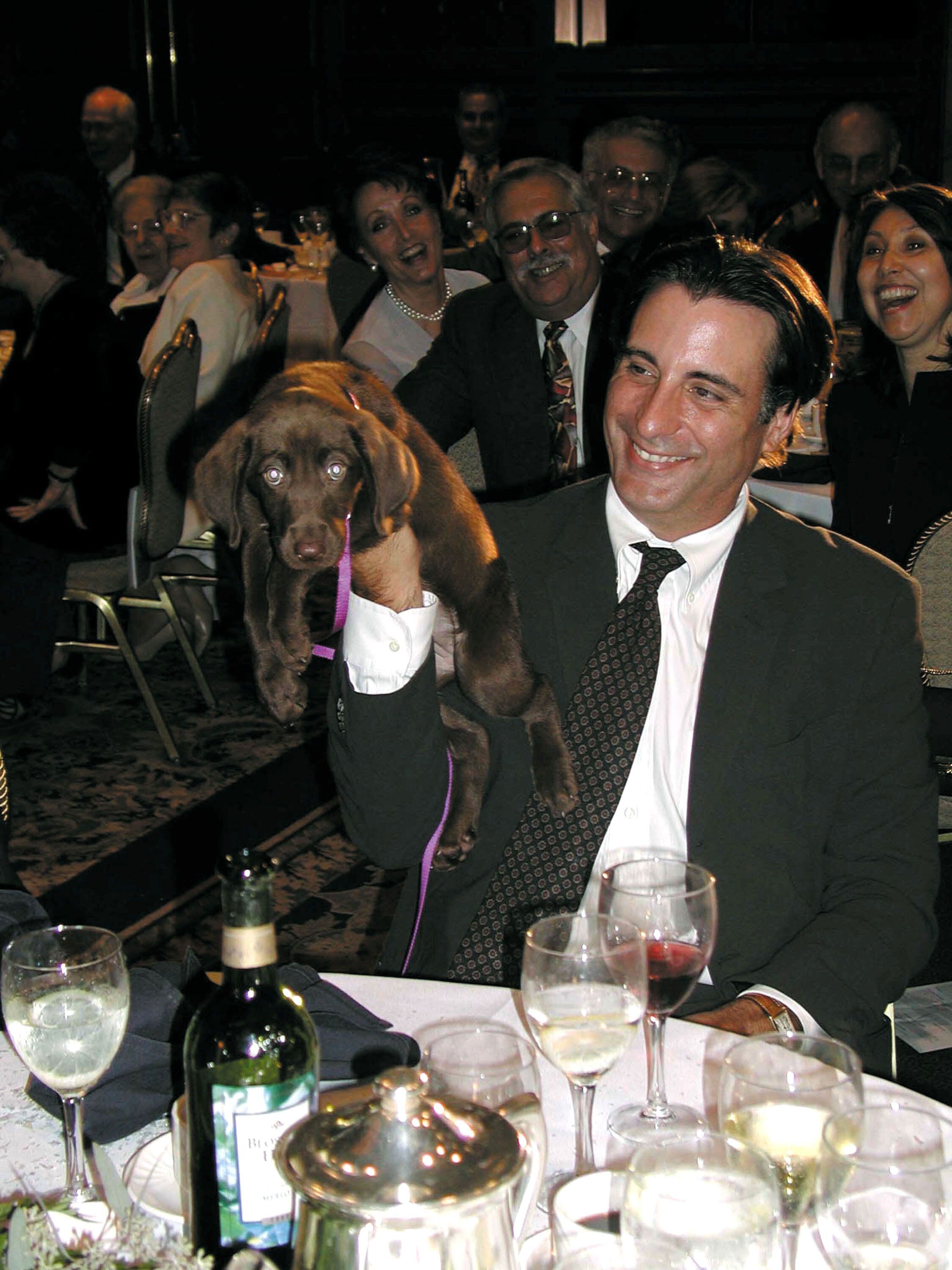 Andy Garcia puede no haber levantado el Oscar, pero sí sujetó a este perrito durante una gala benéfica en 2001 en California. 