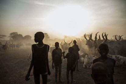 Unos niños de la etnia Dinka posan junto al ganado que cuidan en Yirol, en Sudán del Sur, un país atormentado por el uso de bombas de racimo durante la guerra del Gobierno con los rebeldes, cuyo uso condenó la ONU.