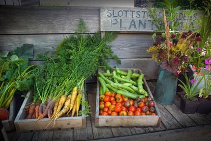 Slottsträdgarden es un jardín orgánico en Malmö. Tiene ocho espacios temáticos, entre los que hay un rosal, un jardín japonés y un huerto cooperativo con un restaurante.