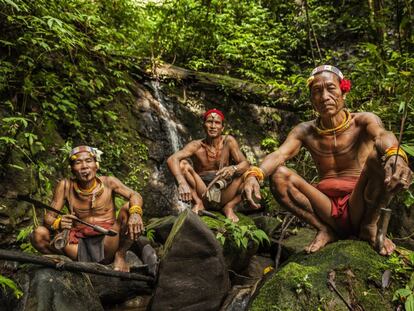 Los mentawai son un pueblo isleño que vive en un lejano archipiélago situado frente a la costa de Sumatra, en Indonesia. Han creado una forma de vida y una existencia sostenibles gracias al desarrollo de una cultura que venera todo lo que les da la vida: la tierra, las plantas, los animales, el agua y el cielo.
Los nativos y su forma de vida autóctona han prosperado en las islas durante milenios. Sin embargo, en los últimos años, debido a la introducción de proyectos nacionales de desarrollo y de programas de modernización, los mentawai han experimentado cambios significativos.
Actualmente, de su mundo no queda más que una minúscula comunidad tribal que vive en el interior profundo de la isla de Siberut intentado desesperadamente conservar su cultura autóctona.
El sikerei (chamán) mentawai posee un conocimiento infinito de la jungla y de cómo se puede –o no se puede– emplear cada especie vegetal o animal para propiciar su supervivencia. En la foto, de izquierda a derecha, los sikerei Aman Alangi Kunen, Aman Ipae and Aman Masit Dere.