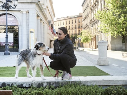 Ronis es un mestizo de mirada melancólica al que le gustaría estar persiguiendo conejos en el campo y que es un gran aficionado a las salchichas Oscar Mayer. Su dueña, Conchi González, dice: "No entiende nada de lo que está pasando".