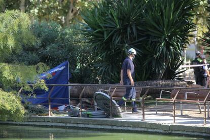 Punto en el que se ha caído la palmera que ha causado la muerte a una persona y heridas a otra este martes en Barcelona.