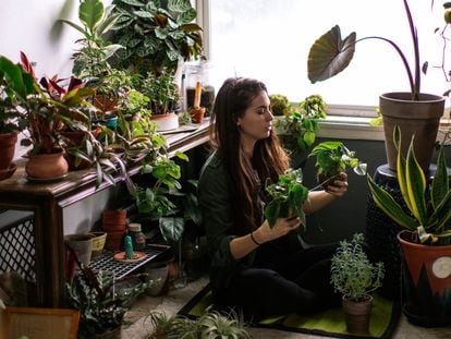 Una mujer cuidando de sus plantas de interior.