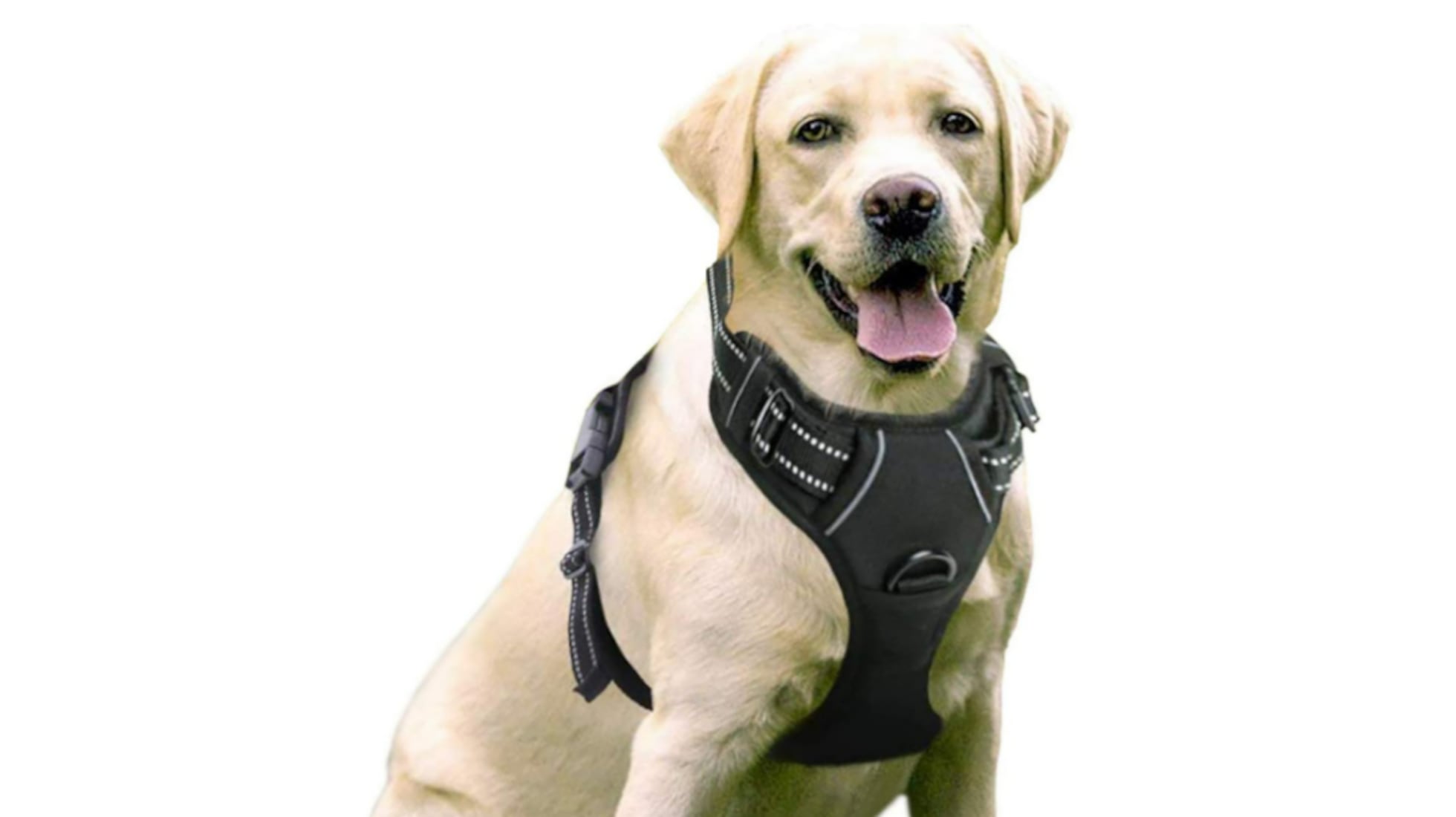 Guardian Gear Arnés antitirones para perro pequeño