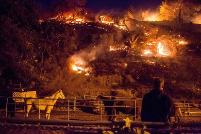 Un hombre observa las llamas que crecen sobre un monte en Shadow Hills, un vecindario de Los Ángeles. 
