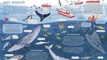 Doble página de 'Océanos... y cómo salvarlos', de Amandine Thomas, editado por Errata Naturae.
