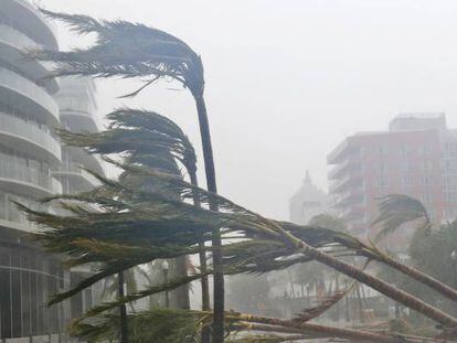 Los efectos del huracán Irma a su llegada a Miami.