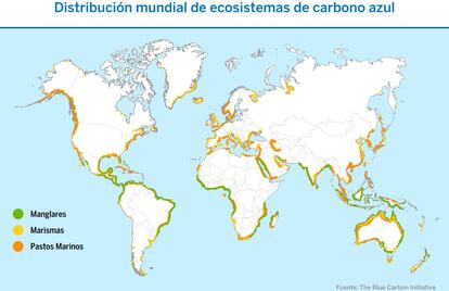Distribución mundial de ecosistemas de carbono azul.
