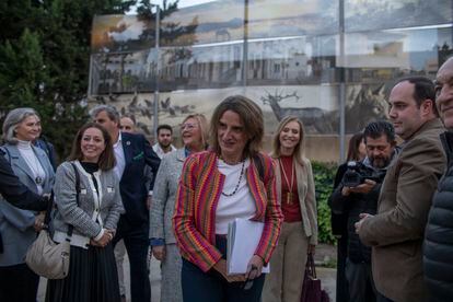 The Vice President and Minister for the Ecological Transition, Teresa Ribera, when she announced her plan for Doñana in Almonte, Huelva, last November. 