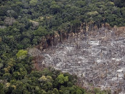 Terrenos deforestados en el parque nacional natural Tinigua, en el departamento del Meta (Colombia), el 3 de noviembre de 2020.