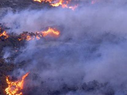 Imagen del incendio en las Fragas do Eume