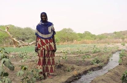Hadje Gombo, junto a su sistema de regadío en el Lago Chad (Chad).