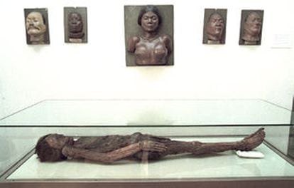 Cadáver momificado de un guanche, traído a Madrid en el siglo XVIII desde una cripta montañosa canaria.