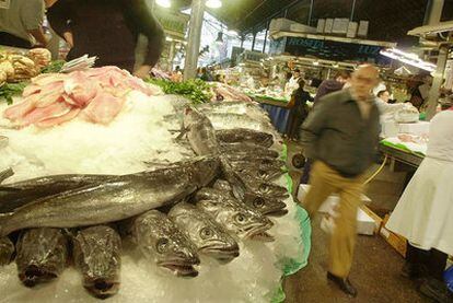 El ICIJ recogió muestras de merluza fresca y congelada en la Comunidad de Madrid.