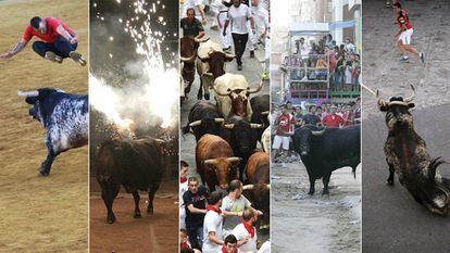 Los festejos taurinos populares incluyen recortes, toros embolados, encierros, sueltas y toros en cuerda.