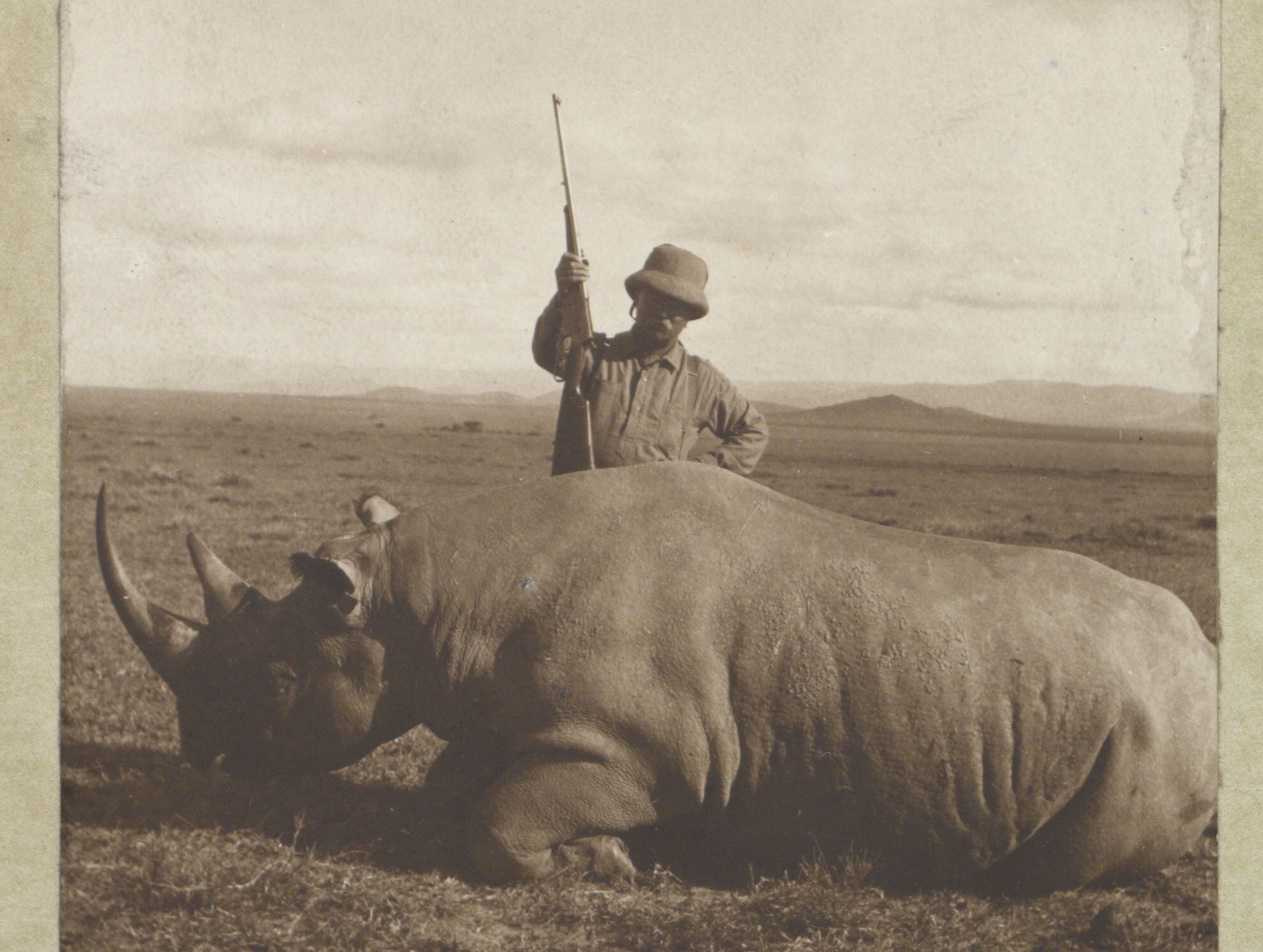 Poco después de dejar la presidencia de Estados Unidos, Theodore Roosevelt participó en un viaje a África para llenar de fondos el proyectado Museo de Historia Natural. En un año y solo de dos especies de rinocerontes, él y su hijo abatieron a 106 animales.