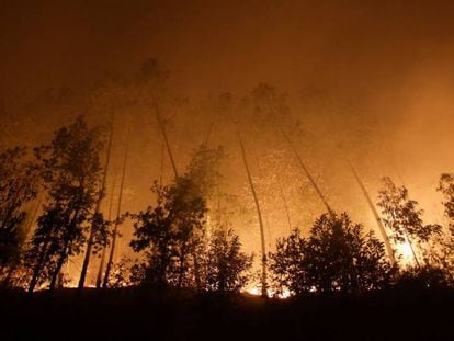 Un bosque cercano a Vigo en llamas, el pasado domingo. 