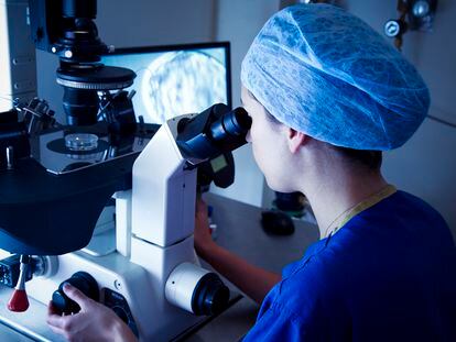 Una médica observa en un microscopio la fecundación de un óvulo.