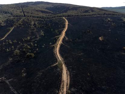 Imagen tomada con un dron de la superficie calcinada en el incendio de la sierra de la Culebra.