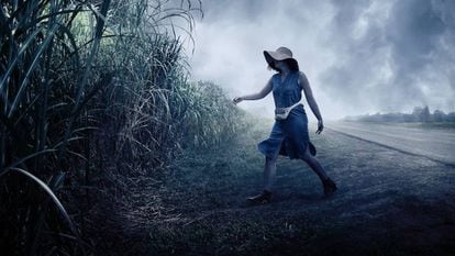 Fotograma de 'In The Tall Grass', la película inaugural de la edición de este año en Sitges.