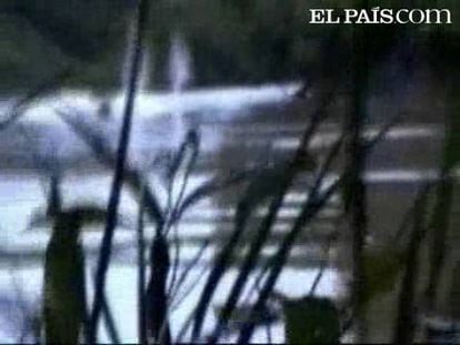 El ejército colombiano ha difundido imágenes de uno de sus ataques contra la FARC. No dan tregua a cinco rebeldes que iban a entregar armas a la guerrilla. Un material que, por cierto, traían de Venezuela. Les ametrallaron, su barca ardió y acabaron muriendo.