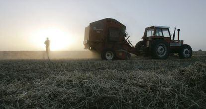 Un agricultor trabaja en una granja cerca de Gualeguaychu, Argentina, en la frontera con Uruguay.