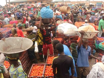 Un mercado de tomates en Lagos, Nigeria.