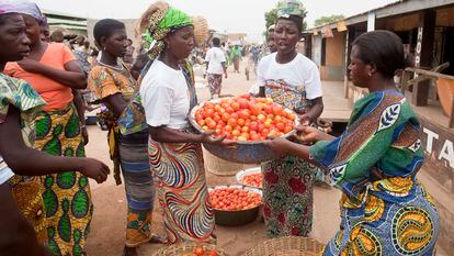 Un grupo de vendedoras de tomates en el mercado principal de Dapaong, en Togo.