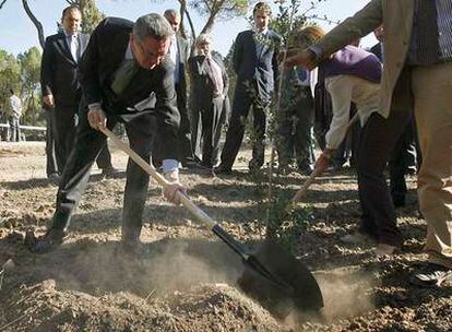 Alberto Ruiz-Gallardón planta un árbol en la Casa de Campo.