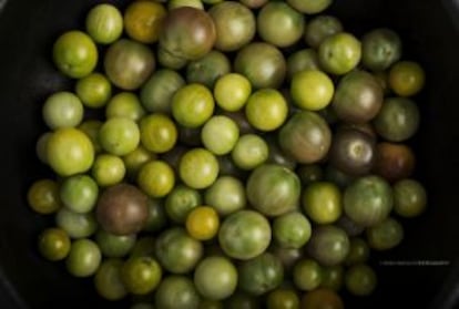 Tomates orgánicos en El Baqueano.