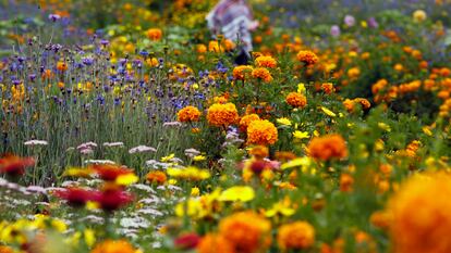 Una mujer camina a través de un jardín en Medellín (Colombia).