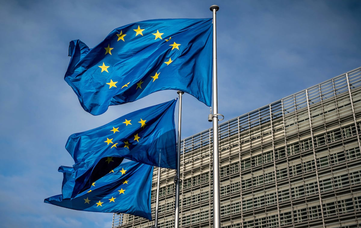 Las elecciones europeas se celebran del 6 al 9 de junio de 2024 |  Internacional