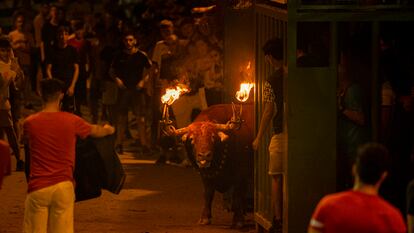 Bou embolat en la localidad castellonense de L'Alcora de este verano.