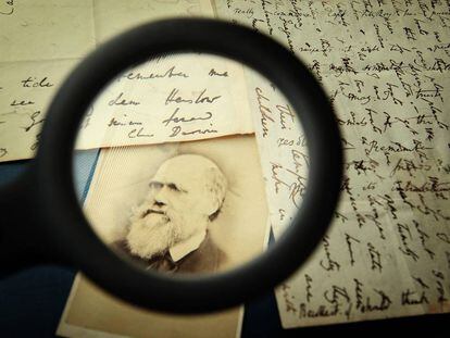  El propio Darwin sería considerado un racista por los criterios actuales.
