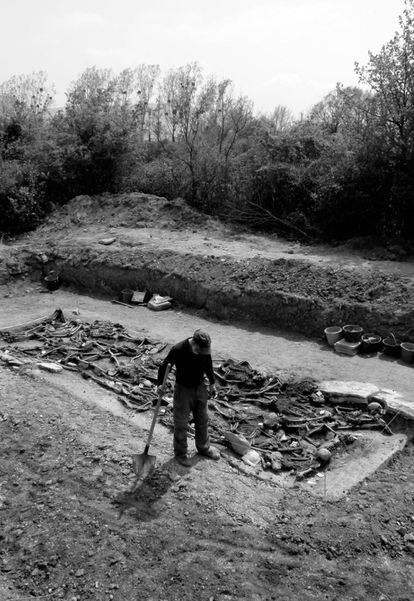 Loma de Montija (Burgos), 2011. Exhumación de los restos de 24 personas asesinadas y enterradas en una fosa común en noviembre de 1936. Más de la mitad de los esqueletos tenía las manos atadas a la espalda.