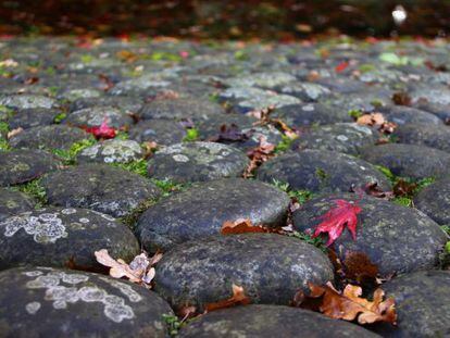 Empedrado de un jardín cuidado hasta el último detalle.