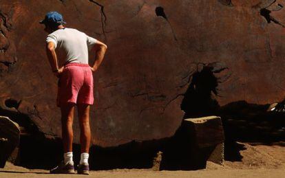 Un hombre observa el tronco cortado de un árbol en el Sequoya National Park.