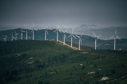 Un parque de energía eólica.