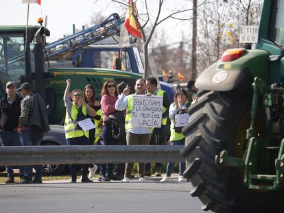 Agricultores montados en sus tractores llegaban a Córdoba este martes, tras partir de distintos puntos de la provincia cordobesa para exigir mejoras en la situación del campo andaluz.