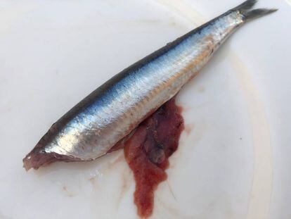 Hueva del boquerón, una exquisitez que hay que extraer con cuidado. / Capel