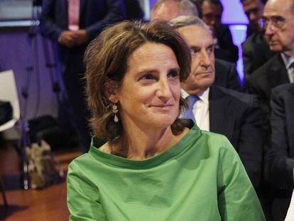 La ministra en funciones para la Transición ecológica, Teresa Ribera. Al fondo, el presidente de la CNMC, José María Marín. 
