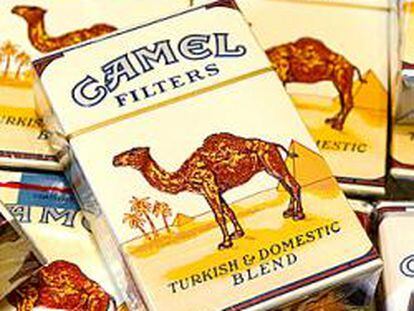 Paquetes de Camel